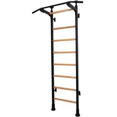 Гимнастическая лестница с металлическим барьером - BenchK 512 цена и информация | Шведские стенки | 220.lv