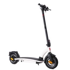 Электрический скутер 36v 500w, белый цена и информация | Электрические самокаты | 220.lv