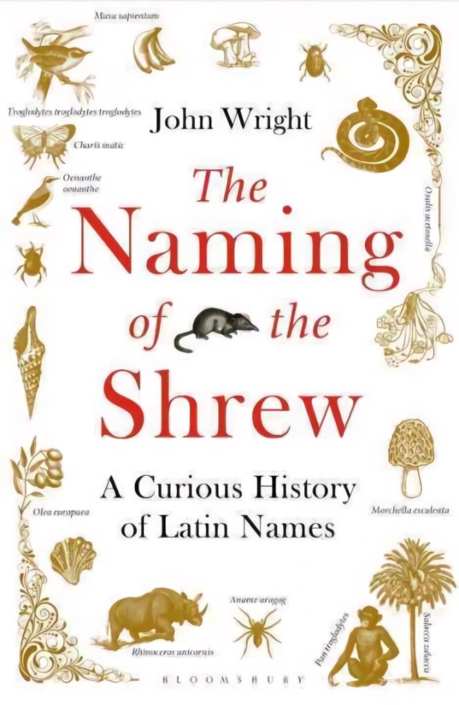 Naming of the Shrew: A Curious History of Latin Names цена и информация | Svešvalodu mācību materiāli | 220.lv