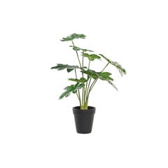 Декоративное растение DKD Home Decor Зеленый PE (20 x 20 x 40 cm) цена и информация | Искусственные цветы | 220.lv