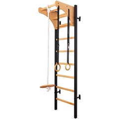 Деревянно-металлическая гимнастическая лестница - BenchK 212B цена и информация | Шведские стенки | 220.lv