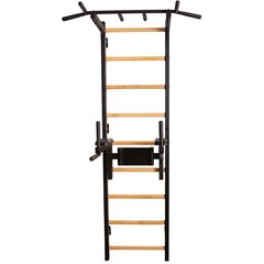 Гимнастическая лестница с барьерами и поручнями - BenchK 312B цена и информация | Шведские стенки | 220.lv