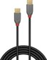 3m USB 2.0 Type C Cable, Anthra Line, Lindy 36873 cena un informācija | Savienotājkabeļi | 220.lv