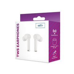 Setty Bluetooth earphones TWS with a charging case ECA-01 white цена и информация | Наушники | 220.lv