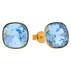 Серебряные серьги "Ослепительный Блеск (Aquamarine)" с кристаллами Swarovski™ DS02A376 цена и информация | Серьги | 220.lv