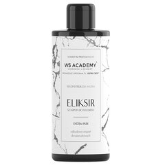 Atjaunojošs matu šampūns Ws Academy Eliksir, 250 ml цена и информация | Шампуни | 220.lv