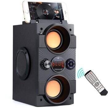 Беспроводная Bluetooth-колонка Feegar Dance, 4000 мАч, Радио, USB, SD, AUX цена и информация | Аудиоколонки | 220.lv