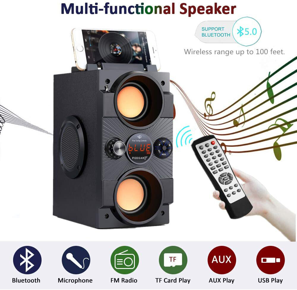 Pārnēsājams bezvadu Bluetooth skaļrunis Feegar Dance 4000mah radio USB SD AUX cena un informācija | Skaļruņi | 220.lv