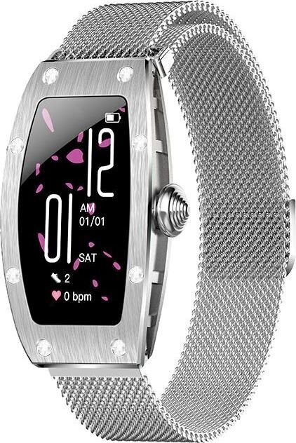 Kumi K18 Silver цена и информация | Viedpulksteņi (smartwatch) | 220.lv