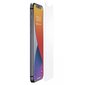 Impact Glass – iPhone 12 Pro Max cena un informācija | Ekrāna aizsargstikli | 220.lv