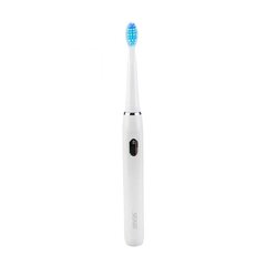 Seago Sonic toothbrush SG-551 (white) цена и информация | Электрические зубные щетки | 220.lv