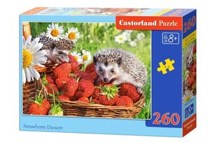 Puzle Castorland Strawberry Dessert, 260 daļās cena un informācija | Puzles, 3D puzles | 220.lv