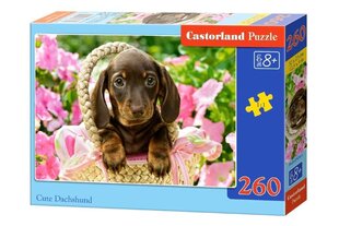 Пазл Castorland Cute Dachshund, 260 деталей цена и информация | Пазлы | 220.lv