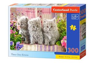 Puzle Castorland Three Grey Kittens, 300 daļas cena un informācija | Puzles, 3D puzles | 220.lv