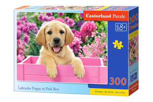 Puzle Castorland Labrador Puppy in Pink Box, 300 daļas цена и информация | Пазлы | 220.lv