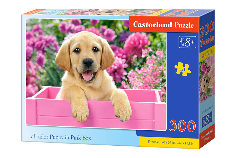 Puzle Castorland Labrador Puppy in Pink Box, 300 daļas cena un informācija | Puzles, 3D puzles | 220.lv