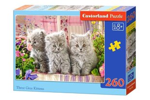 Puzle Castorland Trīs pelēkie kaķēni, 260 daļās cena un informācija | Puzles, 3D puzles | 220.lv