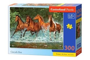 Puzle Castorland Cascade Run, 300 daļu cena un informācija | Puzles, 3D puzles | 220.lv