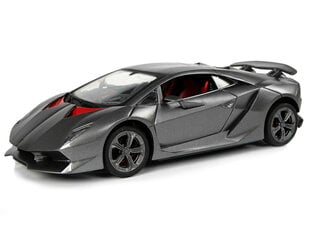 Дистанционно управляемый спортивный автомобиль Lamborghini, 2.4 G, 1:24, серебристый цена и информация | Игрушки для мальчиков | 220.lv