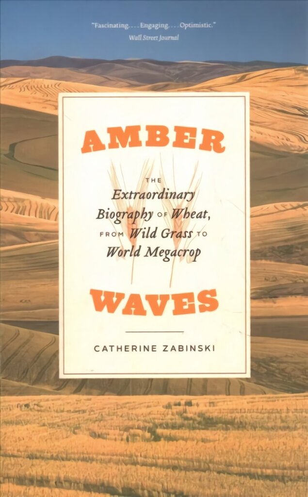 Amber Waves: The Extraordinary Biography of Wheat, from Wild Grass to World Megacrop цена и информация | Ekonomikas grāmatas | 220.lv