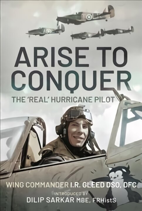 Arise to Conquer: The 'Real' Hurricane Pilot cena un informācija | Sociālo zinātņu grāmatas | 220.lv