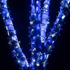 Profesionāla āra virtene no 500 LED spuldzēm Brosberg, zilā krāsā cena un informācija | Ziemassvētku lampiņas, LED virtenes | 220.lv