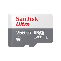 Sandisk SDXC 256GB UHS-I/SDSQUNR-256G-GN3MN цена и информация | Карты памяти для телефонов | 220.lv