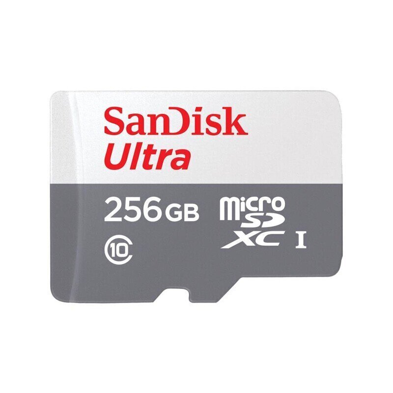 Sandisk SDXC 256GB UHS-I/SDSQUNR-256G-GN3MN cena un informācija | Atmiņas kartes mobilajiem telefoniem | 220.lv