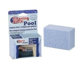 Блок для чистки плитки для бассейнов и спа CLEANING BLOCK POOL, 12 шт. цена и информация | Фильтры для бассейнов | 220.lv
