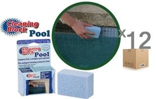 Блок для чистки плитки для бассейнов и спа CLEANING BLOCK POOL, 12 шт. цена и информация | Фильтры для бассейнов | 220.lv