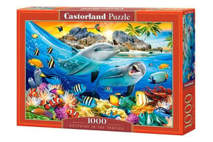 Puzle Castorland Dolphins in the Tropics, 1000 daļas cena un informācija | Puzles, 3D puzles | 220.lv