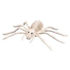 Zirnekļa skelets, balts (23 cm) cena un informācija | Svētku dekorācijas | 220.lv