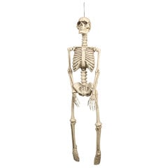 Karināms skelets (92 cm) cena un informācija | Svētku dekorācijas | 220.lv