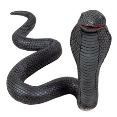 Резиновая кобра (65 см) цена и информация | Праздничные декорации | 220.lv