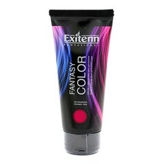 Краска для волос Fantasy Exitenn цена и информация | Краска для волос | 220.lv