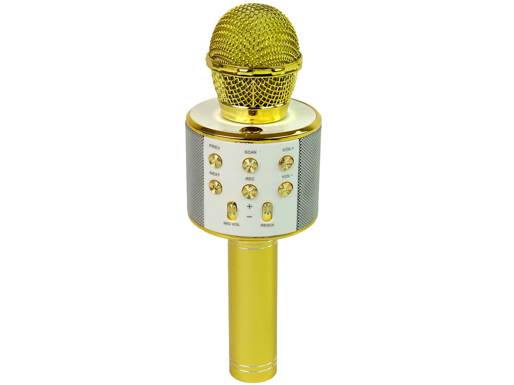Bezvadu karaoke mikrofons ar skaļruņiem un ierakstīšanas funkciju WS-858, zelts цена и информация | Attīstošās rotaļlietas | 220.lv