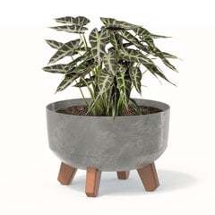 Bonsai puķu pods ar kājām stādītāju Mini Garden apaļa 23,5 cm betona pelēka plastmasas puķu kaste cena un informācija | Puķu podi | 220.lv