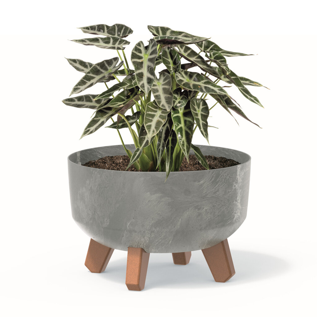 Bonsai puķu pods ar kājām stādītāju Mini Garden apaļa 23,5 cm betona pelēka plastmasas puķu kaste cena un informācija | Puķu podi | 220.lv