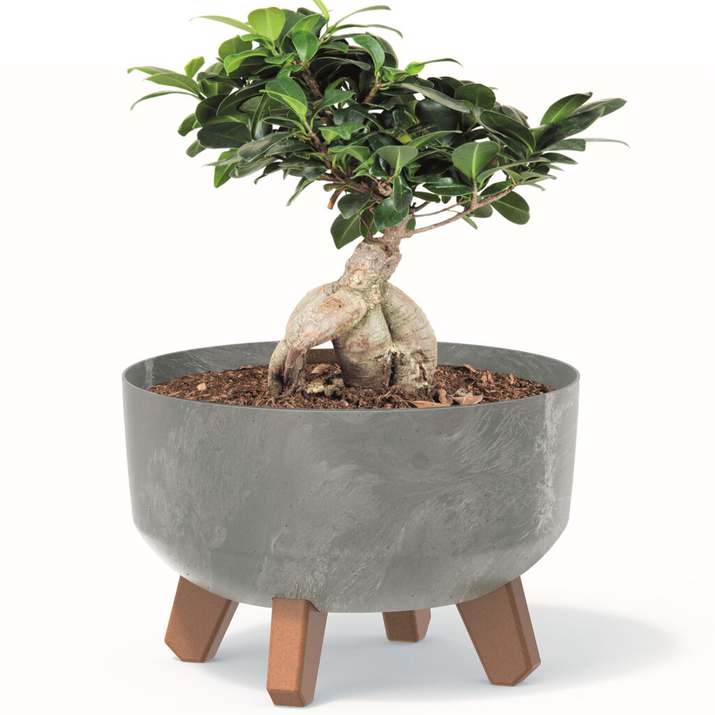 Bonsai puķu pods ar kājām stādītāju Mini Garden apaļa 23,5 cm betona pelēka plastmasas puķu kaste cena un informācija | Puķu podi | 220.lv