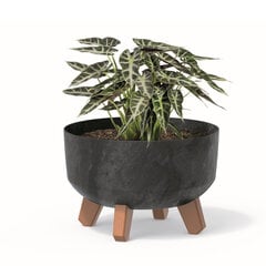 Bonsai puķupods ar kājām stādītājs Mini Garden apaļš 23,5 cm stādītājs plastmasas antracīta betons цена и информация | Вазоны | 220.lv