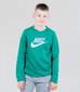 Nike bērnu sporta krekls cena un informācija | Zēnu jakas, džemperi, žaketes, vestes | 220.lv