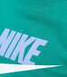 Nike bērnu sporta krekls cena un informācija | Zēnu jakas, džemperi, žaketes, vestes | 220.lv