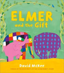 Elmer and the Gift цена и информация | Книги для малышей | 220.lv