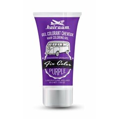 Pagaidu matu krāsa Hairgum Fix Color Violets Modelējošs Gels (30 ml) cena un informācija | Matu krāsas | 220.lv