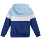 Džemperis meitenei 4F HJL22 JBLD002 33S, zils cena un informācija | Jakas, džemperi, žaketes, vestes meitenēm | 220.lv