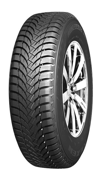 NEXEN WG Snow G WH2 225/55R16 95H цена и информация | Ziemas riepas | 220.lv