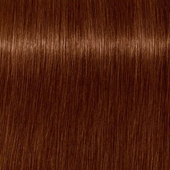 Permanenta īpaši noturīga krāsa sirmiem matiem Igora Royal Absolutes Schwarzkopf 7-470 (60 ml) cena un informācija | Matu krāsas | 220.lv