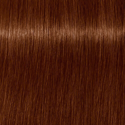 Permanenta īpaši noturīga krāsa sirmiem matiem Igora Royal Absolutes Schwarzkopf 7-470 (60 ml) цена и информация | Matu krāsas | 220.lv