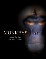 Monkeys: Apes, Gorillas and other Primates цена и информация | Книги о питании и здоровом образе жизни | 220.lv