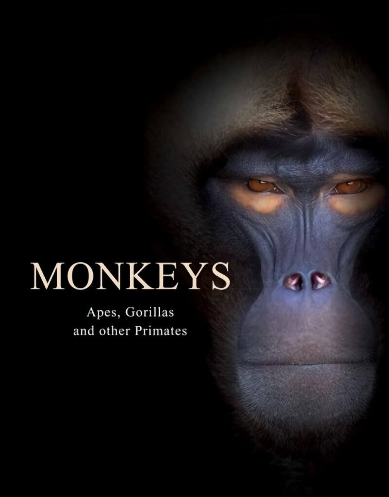 Monkeys: Apes, Gorillas and other Primates цена и информация | Grāmatas par veselīgu dzīvesveidu un uzturu | 220.lv